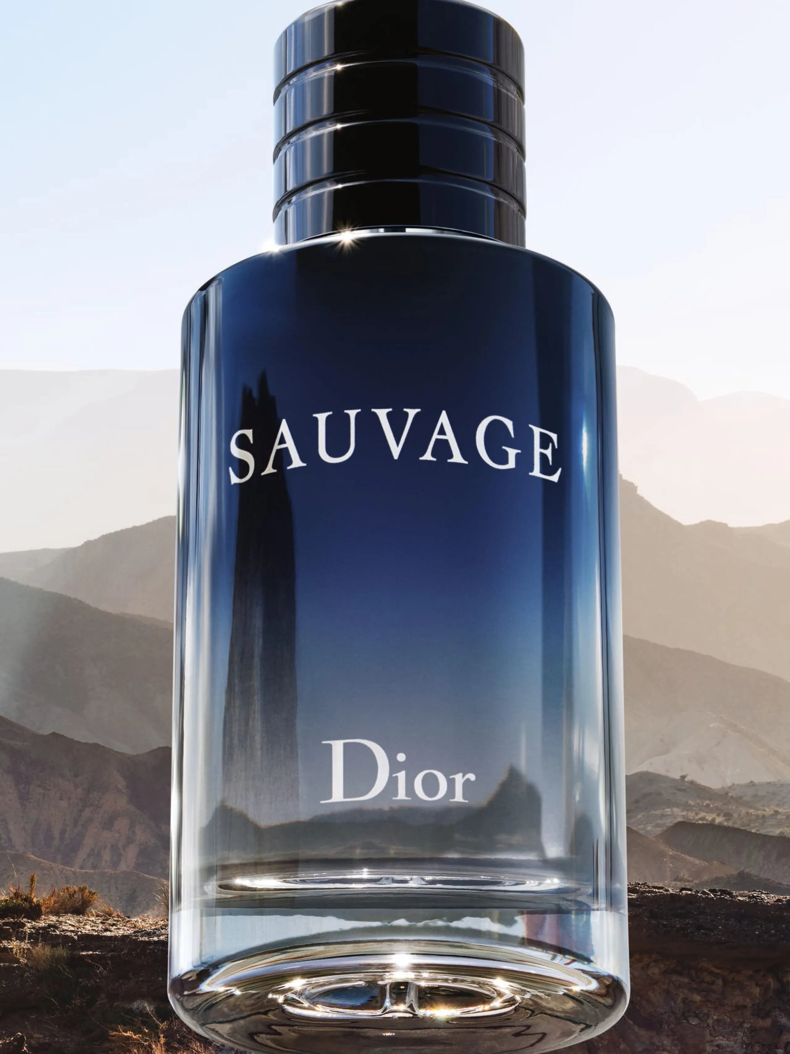 Dior Sauvage Eau de Toilette