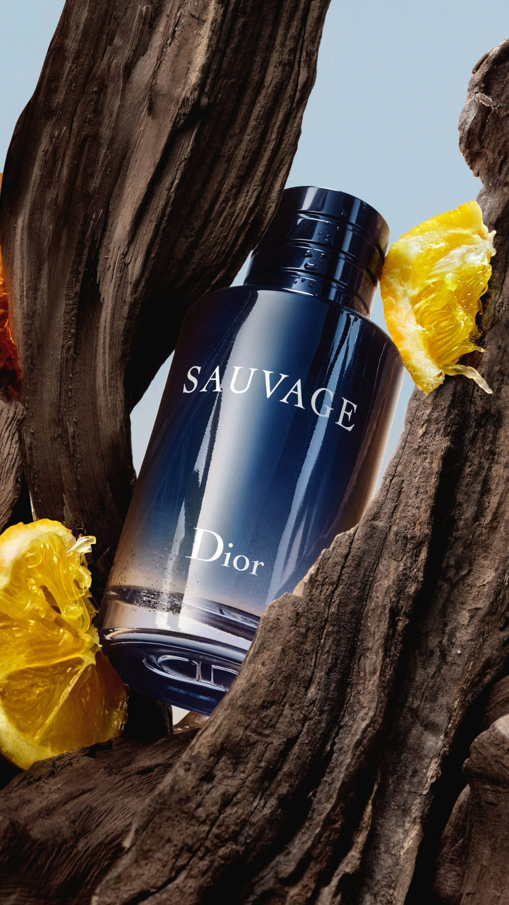 Dior Sauvage Eau de Toilette