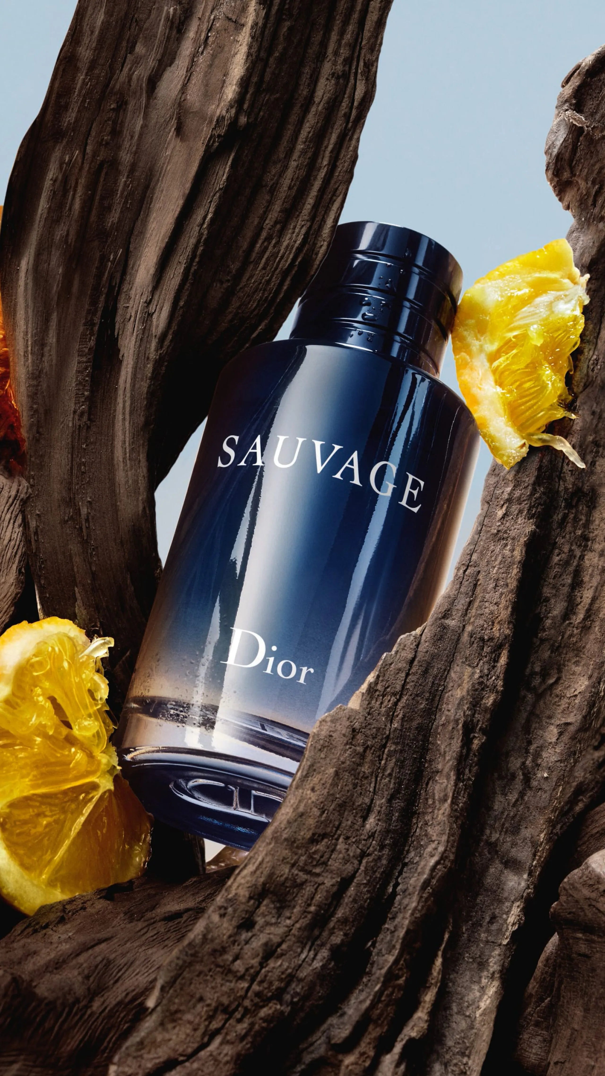 Dior Sauvage Eau de Toilette