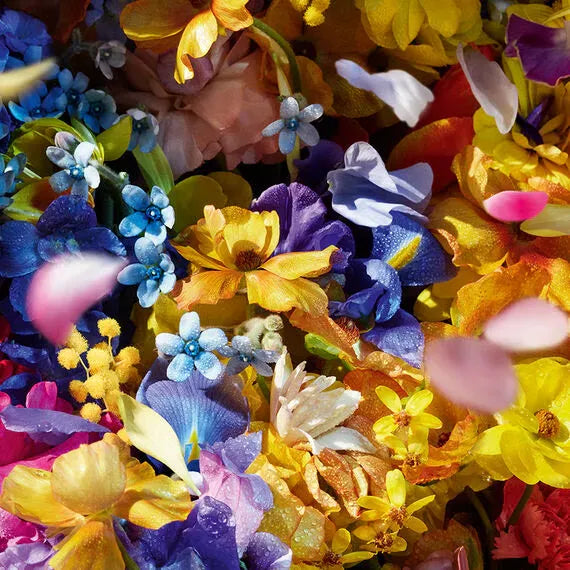 Guerlain Aqua Allegoria Florabloom EDT