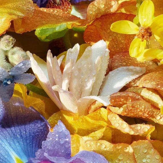 Guerlain Aqua Allegoria Florabloom EDT