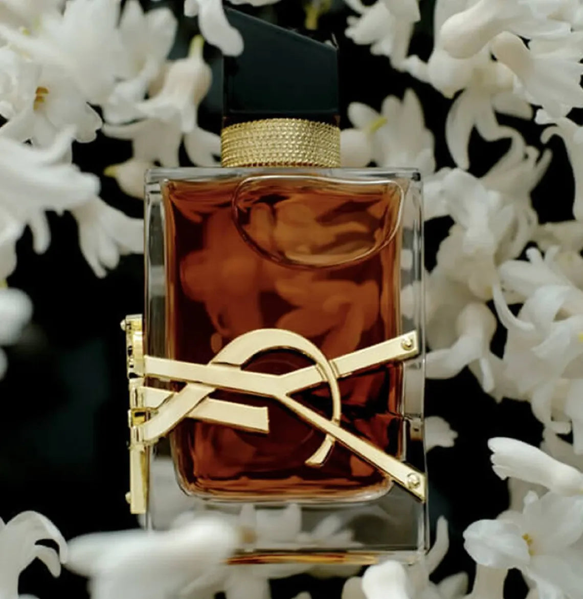 YSL Libre EDP Intense