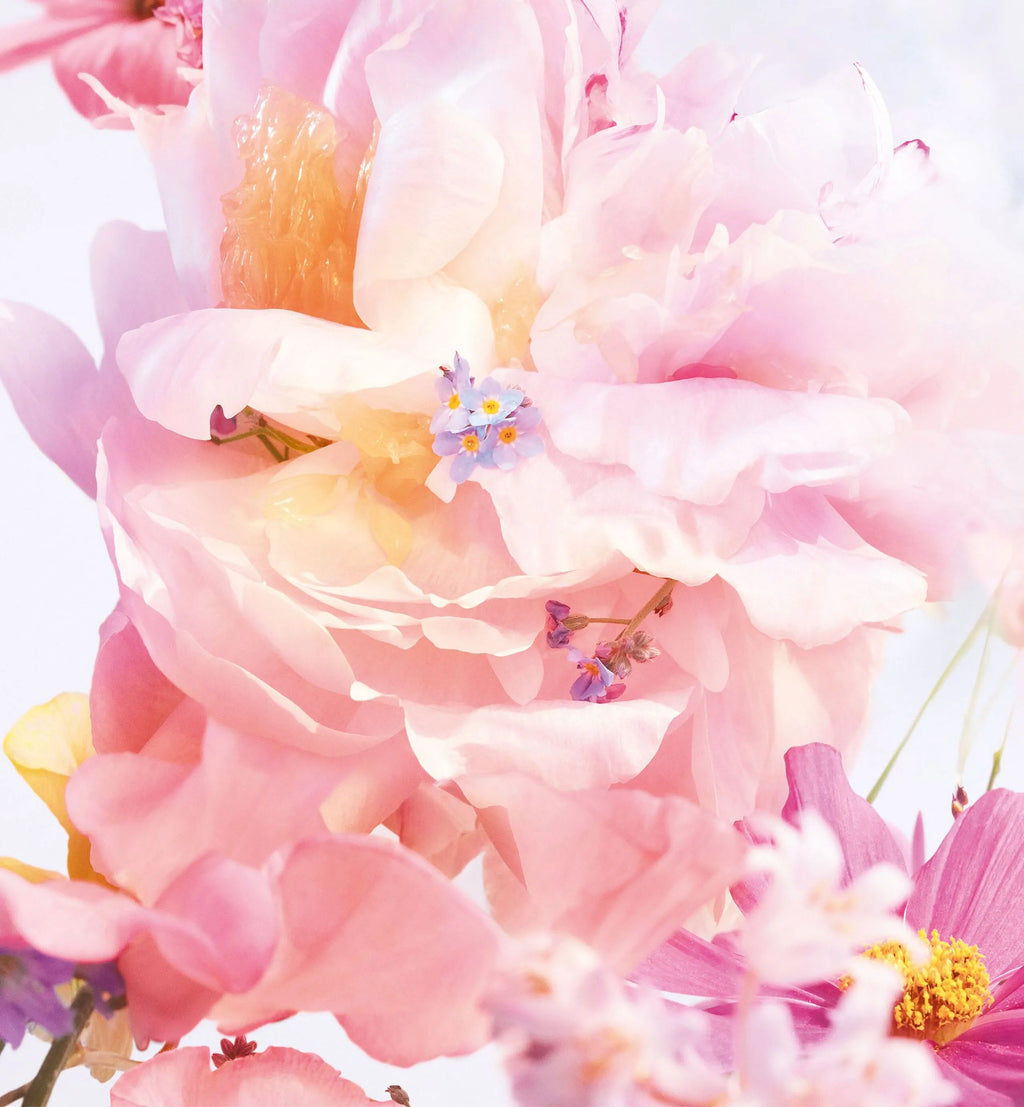 Miss Dior Blooming Bouquet EDT
