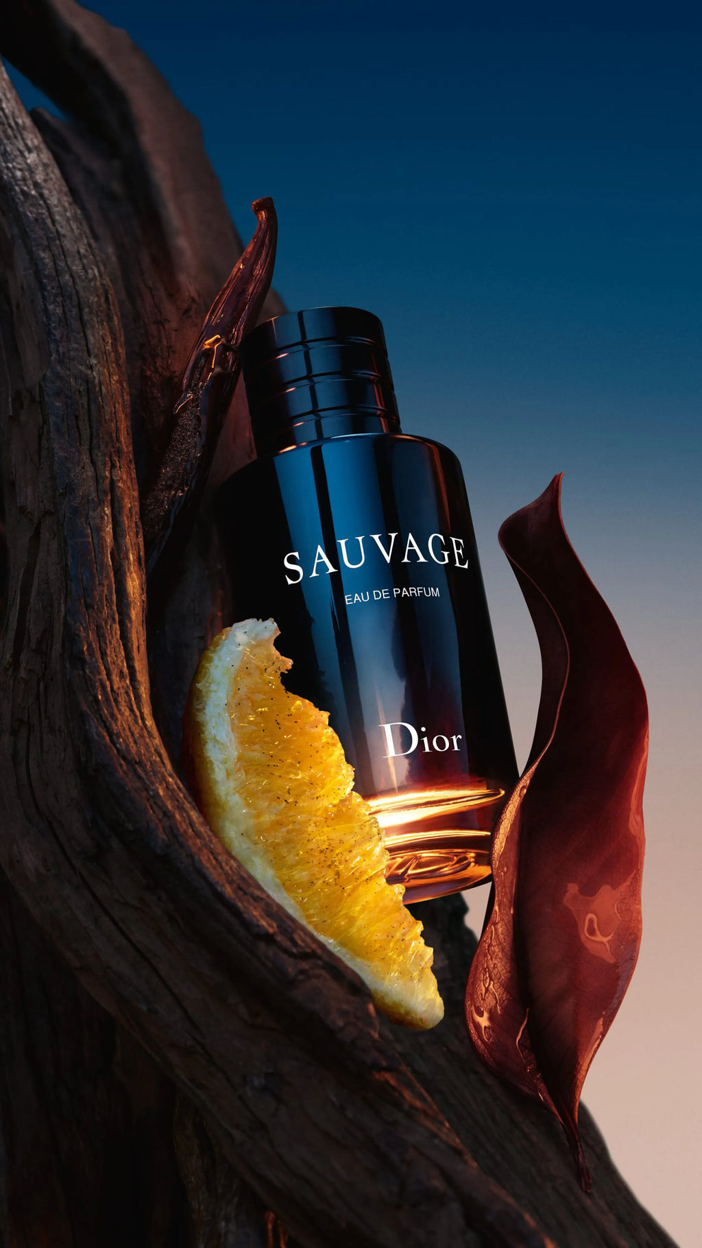 Dior Sauvage Eau de Parfum