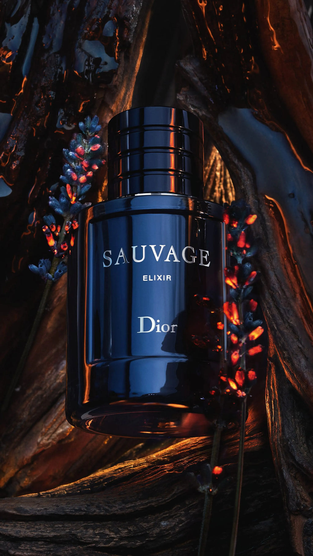 Dior Sauvage Elixir